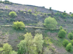 
Pwlldu Tramroad, Rhiw Ifor and the tramroad branch to Pwlldu Quarry, May 2012